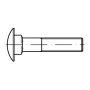 DIN 603 Flachrundschraube M6x65 Edelstahl A2 blank m. Vierkantansatz-3