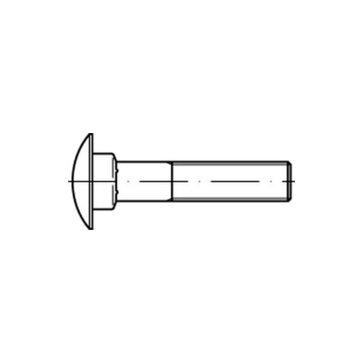 DIN 603 Flachrundschraube M8x25 Messing blank m. Vierkantansatz ohne Mutter
