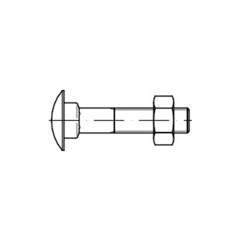 DIN 603 Flachrundschraube mit Vierkantansatz, mit Mutter M10x55 HP