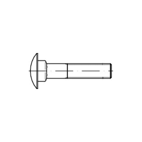 DIN 603 Flachrundschraube mit Vierkantansatz, ohne Mutter Edelstahl A4 M12x65 HP