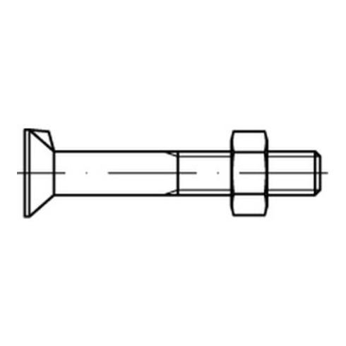 DIN 604 Senkkopfschraube mit Nase und Mutter, Stahl 4.6, blank