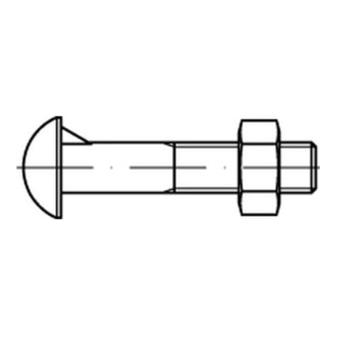 DIN 607 Halbrundschraube mit Nase und Mutter, Stahl 4.6, blank