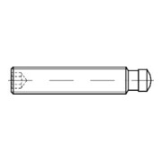 DIN 6332 Gewindestift mit Druckzapfen und Innensechskant, 5.8 brüniert ISK M16x80 HP
