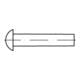 DIN 660 Halbrundniete Aluminium 99.5 3 x 6 Al S