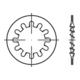 DIN 6797-I Zahnscheibe innenverzahnt, Federstahl-1