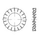 DIN 6798 Fächerscheibe, FST galZn A 7,4 KP-1