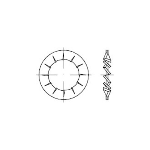 DIN 6798 Fächerscheibe, FST galZn I 5,3 KP
