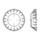 DIN 6798 Fächerscheibe, FST galZn V 10,5 KP-1