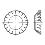 DIN 6798 Fächerscheibe, FST galZn V 5,3 KP