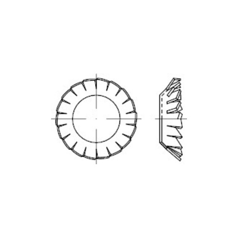 DIN 6798 Fächerscheibe, FST galZn V 8,4 KP