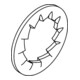 DIN 6798 Rondelle éventail, FST galZn I 5,3 KP-3