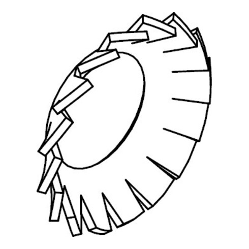 DIN 6798 Rondelle éventail, FST galZn V 6,4 H