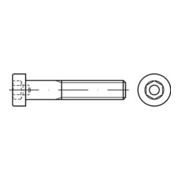 DIN 6912 Zylinderkopf-Schaftschraube niedrige Form Edelstahl A4 blank Innensechskant