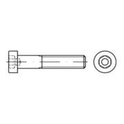 product.name