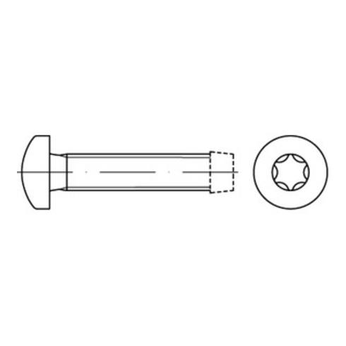 DIN 7500-CE Gewindefurchende Schraube mit Linsenkopf Innensechsrund (TX), Stahl, galvanisch verzinkt