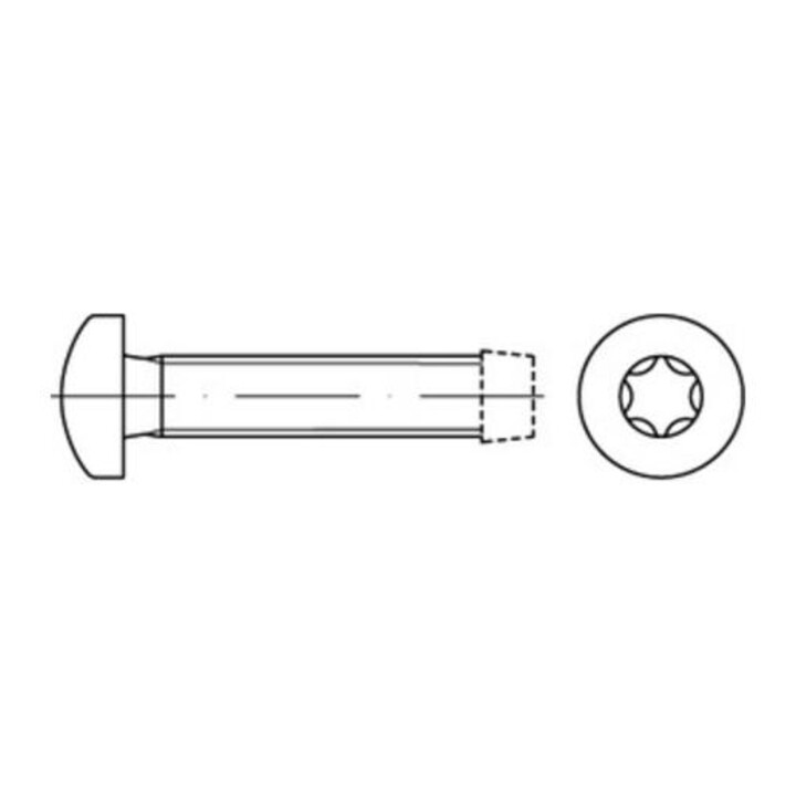 DIN 7500-CE Vis autoforeuse à tête cylindrique bombée six pans creux (TX), acier, zingué galvanisé