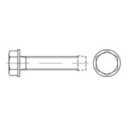 DIN 7500 Gewindefurchende Schraube, ST galZn D mit Bund M6x45 HP