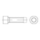 DIN 7500 Gewindefurchende Schraube, ST galZn E M5x35 HP-1