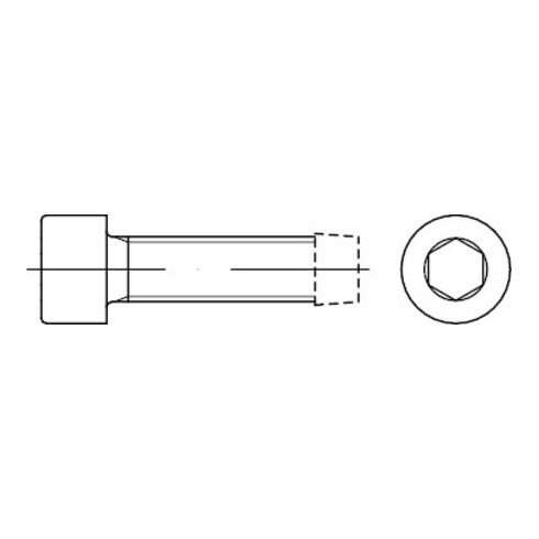 DIN 7500 Gewindefurchende Schraube, ST galZn E M6x45 HP