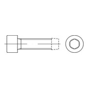 DIN 7500 Gewindefurchende Schraube, ST galZn E M6x45 HP