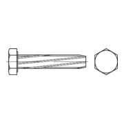 DIN 7513 Sechskant-Schneidschraube, ST galZn A M5x10 HP