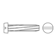 DIN 7513 Sechskant-Schneidschraube, ST galZn B M4x10 HP