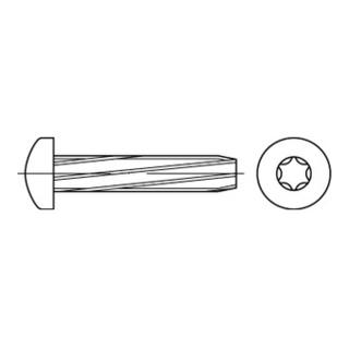 DIN 7516-AE Linsenkopf-Schneidschraube mit Innensechsrund (TX), Stahl, galvanisch verzinkt