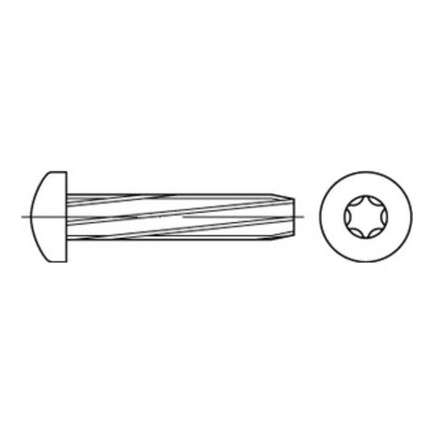 DIN 7516-AE Linsenkopf-Schneidschraube mit Innensechsrund (TX), Stahl, galvanisch verzinkt