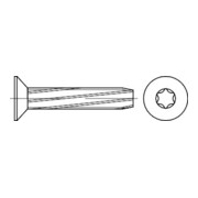 DIN 7516 Linsensenk-Schneidschraube, ST galZn DE ISR M6x12 HP