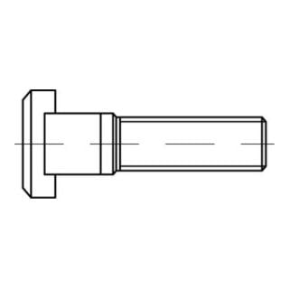 DIN 787 T-Nutenschraube 8.8 18 M 16 x 100 S