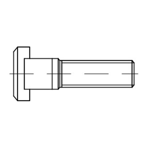 DIN 787 Vis à rainure en T, 8.8 20M20x125 HP