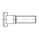 DIN 787 Vis à rainure en T, 8.8 20M20x160 HP-1