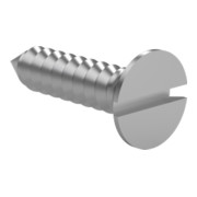 DIN 7972 Blechschraube mit Senkkopf und Schlitz, Form C A2 4,8 x 70 mm -C (mit Spitze)-1