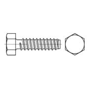 DIN 7976 Sechskant-Blechschraube, ST galZn F 4,8x22 HP