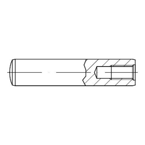 DIN 7979 Zylinderstift mit Innengewinde, ST D 10x32 HP