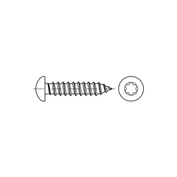 DIN 7981-C/ISO 14585 Form CE Linsenkopf-Blechschraube VG 2,9x19 Stahl galvanisch verzinkt TX