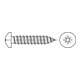 DIN 7981 Linsen-Blechschraube, ST galZn -C-Z 4,8x19 HP-1