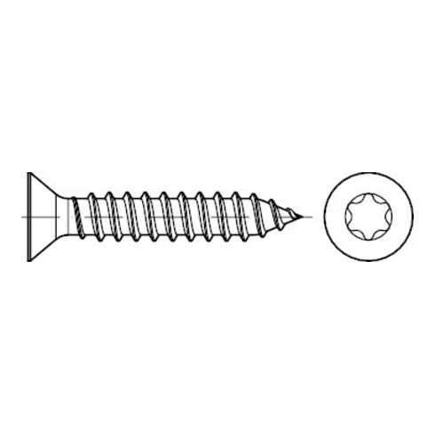 DIN 7982 Senk-Blechschraube, ST galZn -C ISR 5,5x25 HP