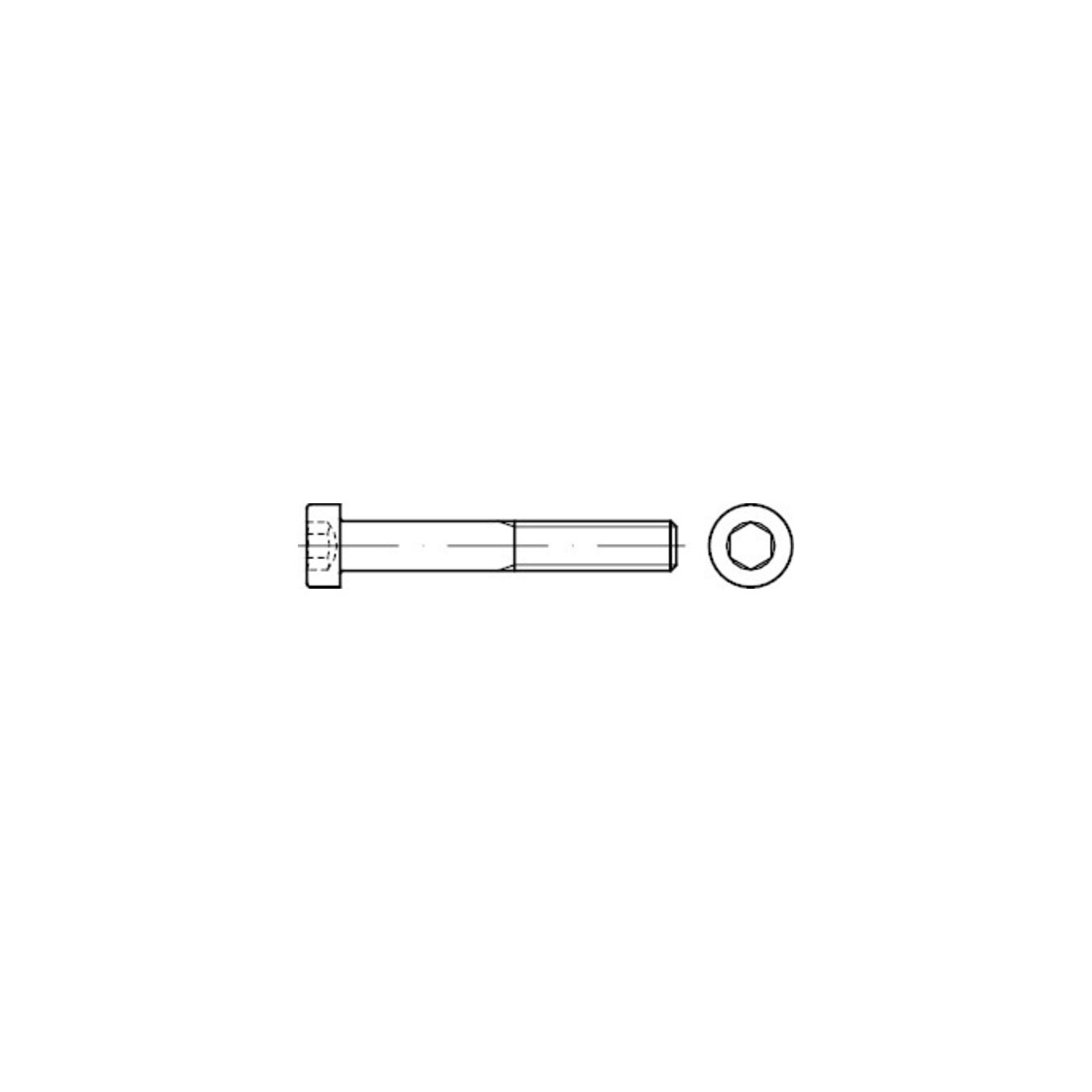 DIN 7984 Vis cylindrique à tête basse, empreinte hexagonale creuse, 8.8 M12x100 HP