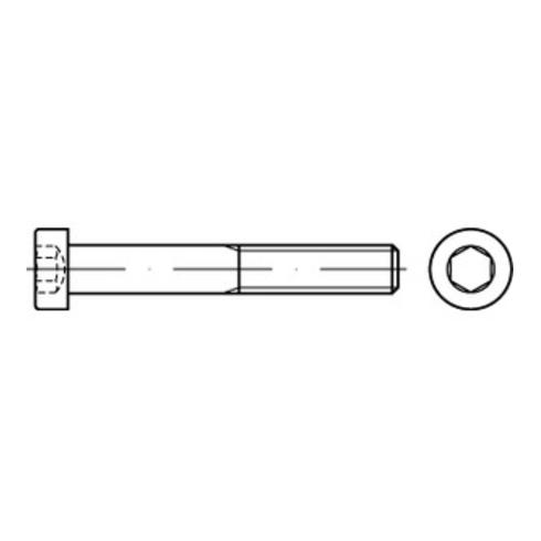 PVC-Kunststoff-Schlitzschrauben Zylinderkopf – M3/M4/M5/M6 Metrisch, Preiswertes Set