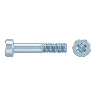 DIN 7984 Zylinderschraube mit Innensechsrund (TX) niedriger Kopf, Stahl 8.8, galvanisch verzinkt