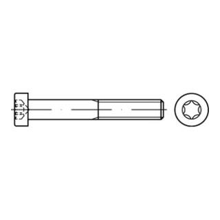 DIN 7984 Zylinderschraube mit Innensechsrund (TX) niedriger Kopf, Stahl 8.8, galvanisch verzinkt