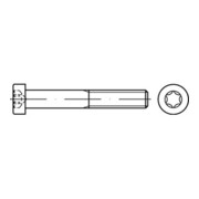 DIN 7984 Zylinderschraube mit Innensechsrund (TX) niedriger Kopf, Stahl 8.8, galvanisch verzinkt