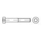 DIN 7984 Zylinderkopf-Schaftschraube M5x12 Stahl 8.8 galvanisch verzinkt TX-1