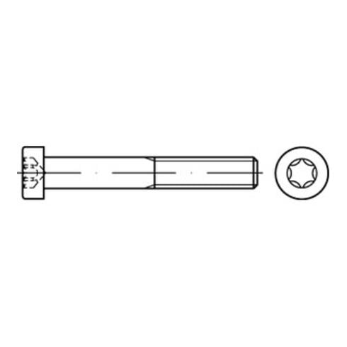 DIN 7984 Zylinderschraube mit Innensechsrund (TX) niedriger Kopf, Stahl 8.8, galvanisch verzinkt