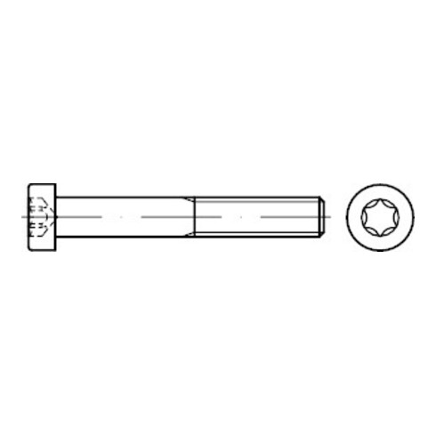 DIN 7984 Zylinderschraube mit Innensechskant, niedriger Kopf, 8.8 galZn ISR M4x6 HP