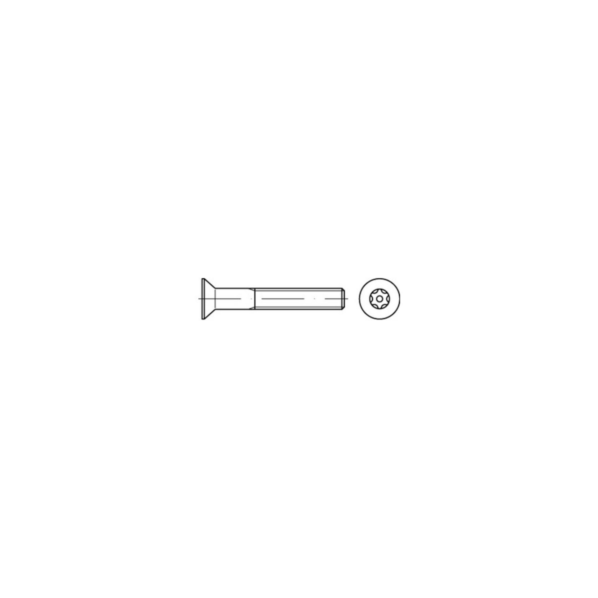 DIN 7991/ISO 10642 Diebstahlhemmende Senkschraube M5x12 Edelstahl A2 blank TX-TR ; Industrial Quality Supplies
