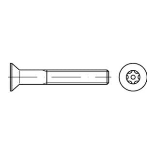 DIN 7991 Diebstahlhemmende Senkkopfschraube Edelstahl A2 blank TX-TR