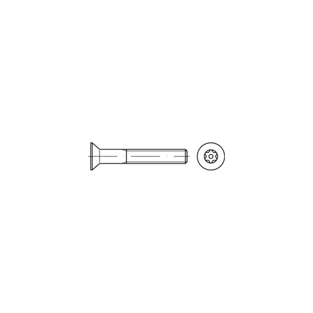 DIN 7991/ISO 10642 Diebstahlhemmende Senkschraube M8x30 Edelstahl A2 blank TX-TR