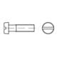 DIN 84/ISO 1207 Zylinderkopfschraube M1,2x10 Edelstahl A2 blank Schlitz